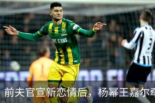 前夫官宣新恋情后，杨幂王嘉尔牵手，马天宇情绪崩溃杨幂细心陪伴