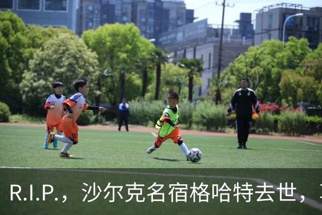 R.I.P.，沙尔克名宿格哈特去世，享年87岁